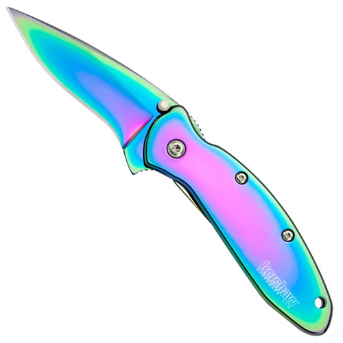 Kershaw Scallion Rainbow Stainless Steel Hunting Knife
