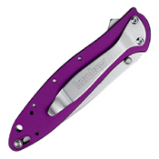 Kershaw Leek Drop-Point Folding Blade Knife