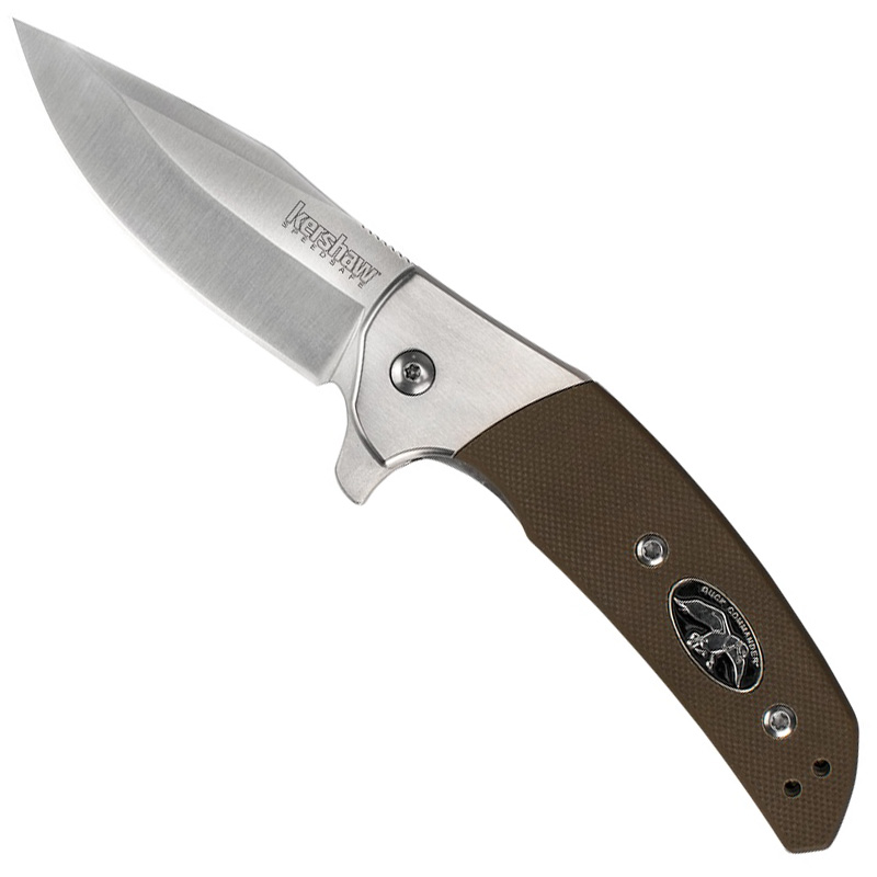 Kershaw Rayne Liner Lock Flipper Knife