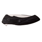 Dark Side Blades Stainless Steel Laser Raven Art Folding Blade Knife