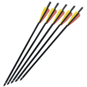 MTech USA Crossbow Bolt - 5 Pieces