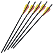 MTech USA Crossbow Bolt - 5 Pieces